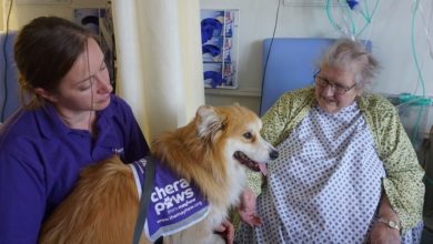TheraPaws supports World Alzheimer’s Month