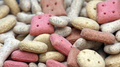 US sales of pet treats outpace dog/cat food