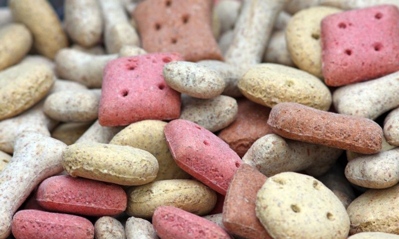 US sales of pet treats outpace dog/cat food