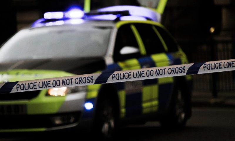 Pet crematorium fraudster left beloved pets in field