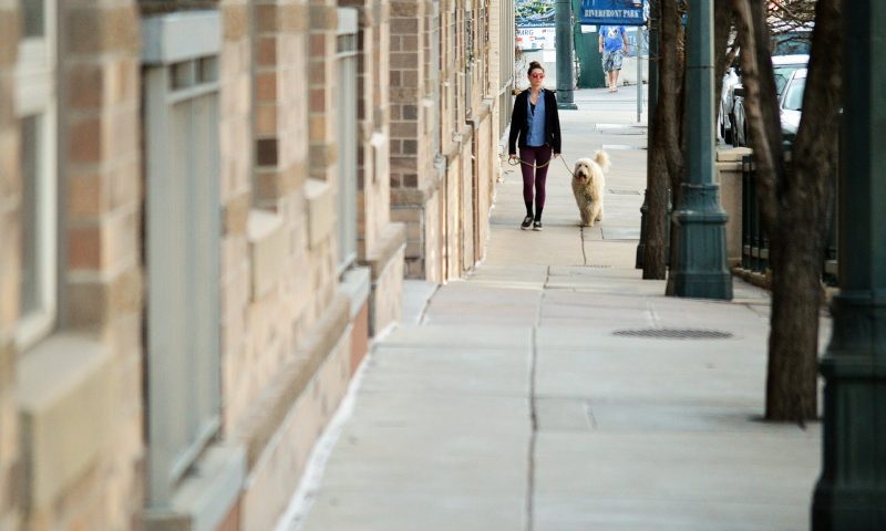 PIF announces new dog walker code