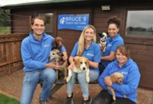 Bruces Doggy Daycare