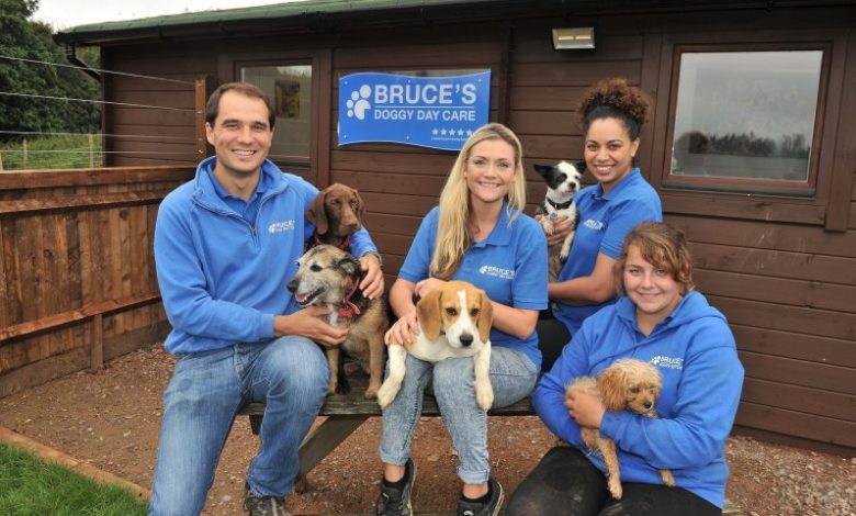 Bruces Doggy Daycare