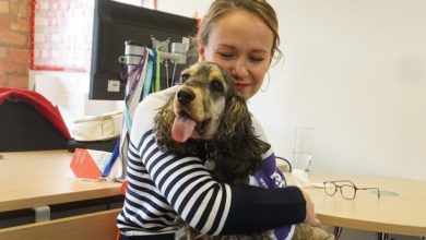 TheraPaws supports World Mental Health Day