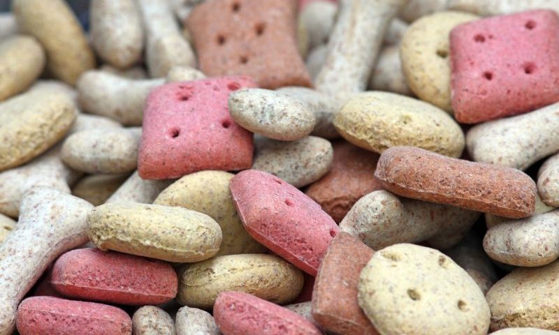 Nutritional Roadshow set for vet students