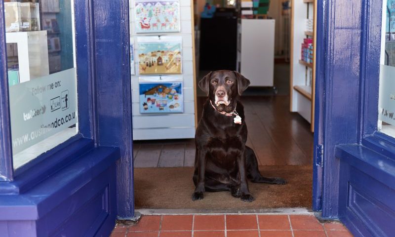 Pets boost small business sales