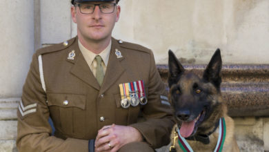Heroic military dog receives prestigious award
