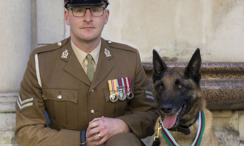 Heroic military dog receives prestigious award