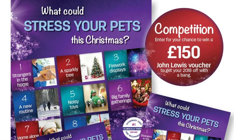 Ceva launches new Christmas marketing pack