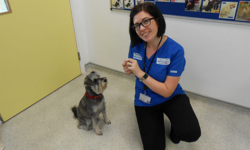 Free weight management webinar held by ROYAL CANIN®