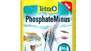 Tetra expands aquarium range