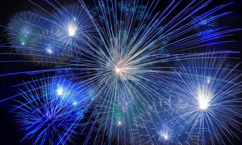 Four in five pet owners call for stricter fireworks laws