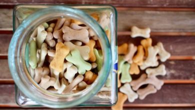 Urban living affects dog food sales