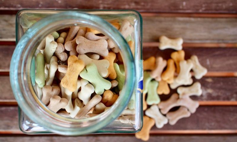 Urban living affects dog food sales