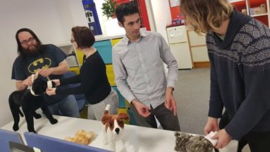 Pet first aid business gets twitter boost from celebrity