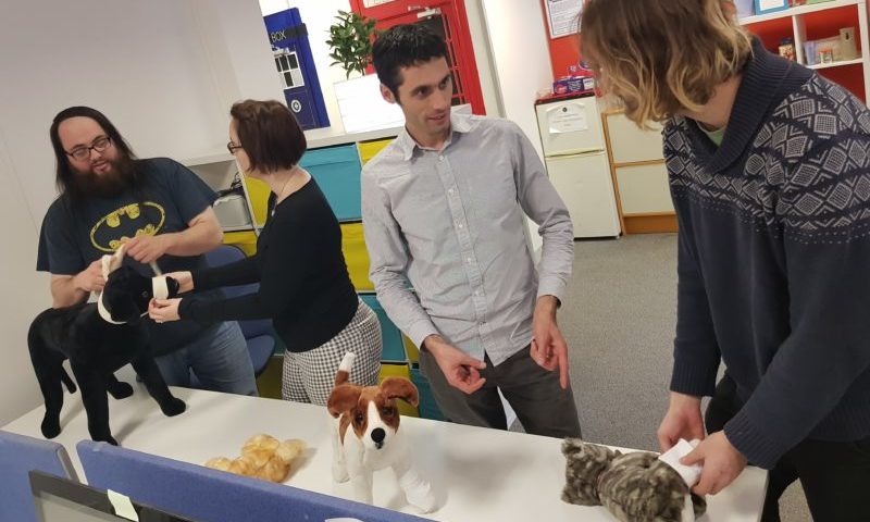 Pet first aid business gets twitter boost from celebrity