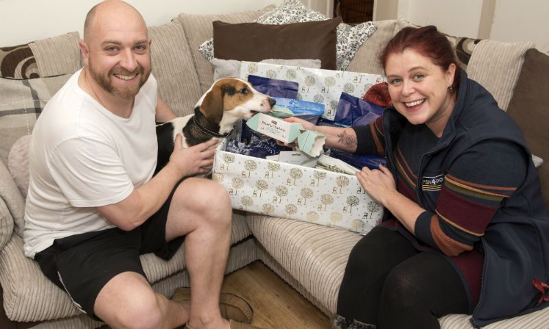 Pet food company gives beagle early present