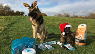 RAF dogs rewarded by pet company