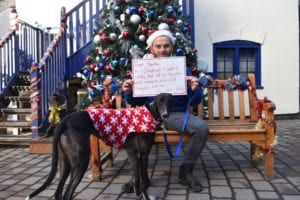 Battersea’s homeless hounds send Santa their Christmas lists