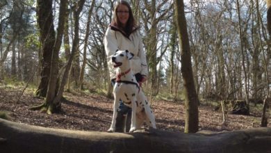 Royal Canin boosts marketing team
