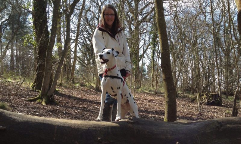 Royal Canin boosts marketing team