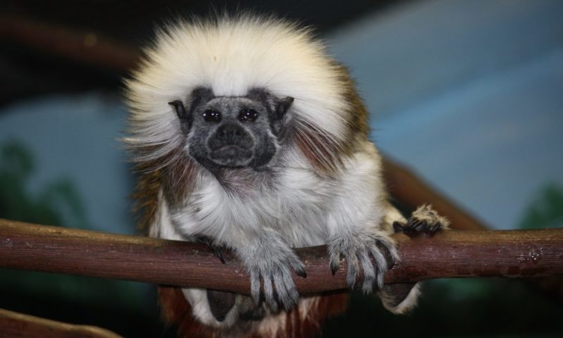 Galloway Conservation Centre