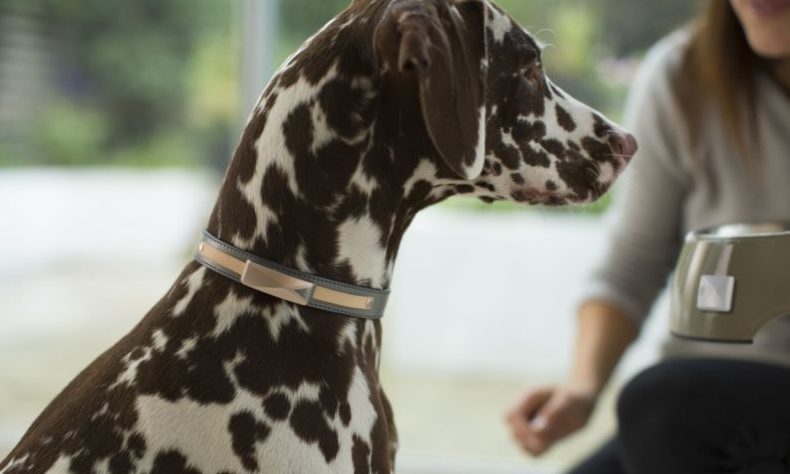 Felcana receives funding boost