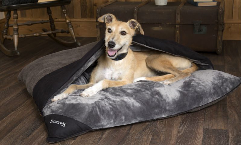 Scruffs enhances Chester Range with Divan pillow