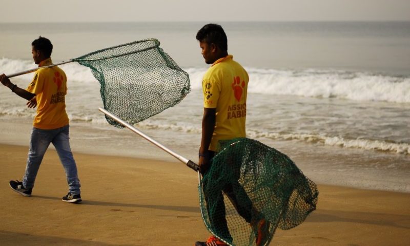 Vet nurses help to combat rabies