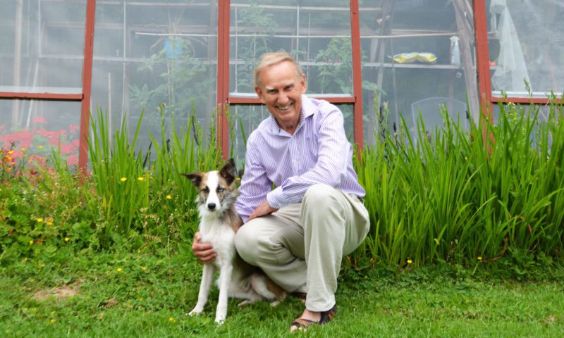 Dogs help boost sales at work