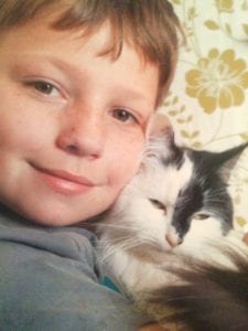 Appeal launched after spate of cat poisonings
