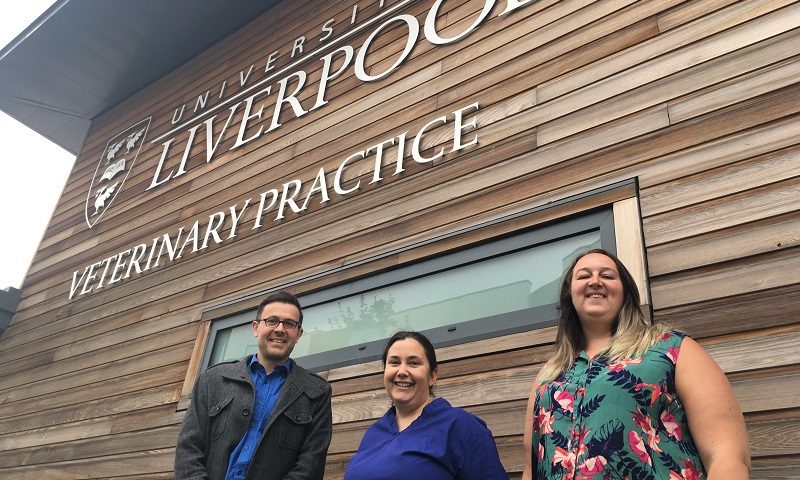 University launches pioneering feline study