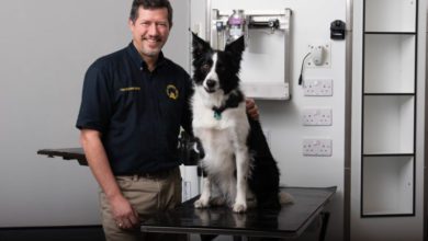 Vet surgery gives a sneaky-peek into new facility