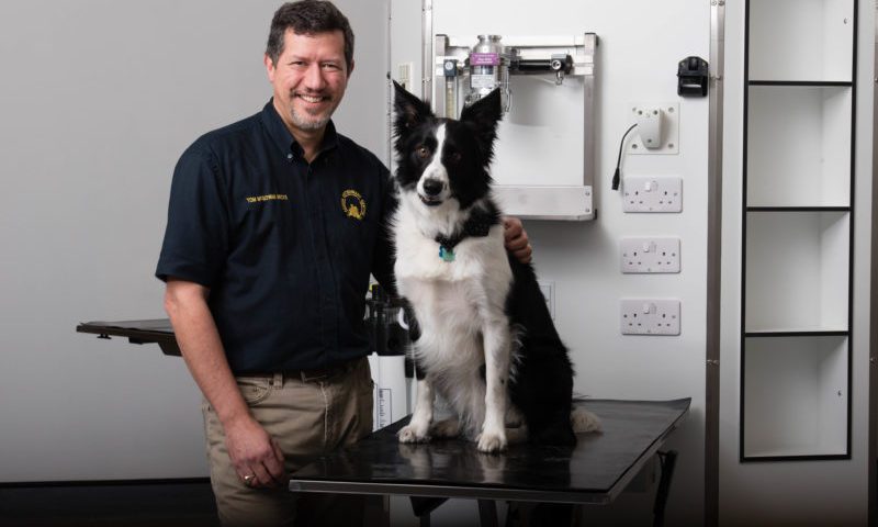 Vet surgery gives a sneaky-peek into new facility