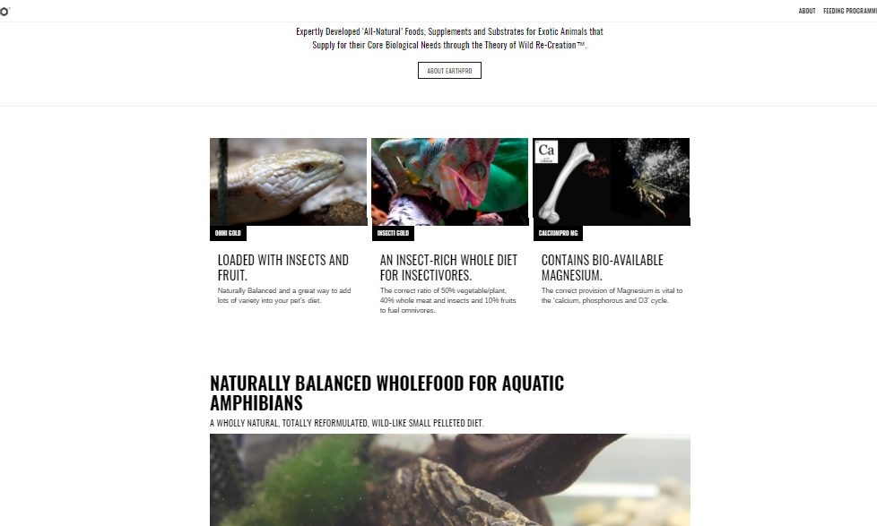 Arcadia launches brand new website