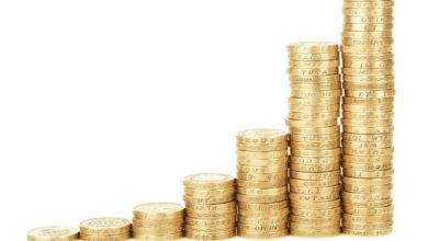Pet food manufacturer sees growth despite £2.4m loss