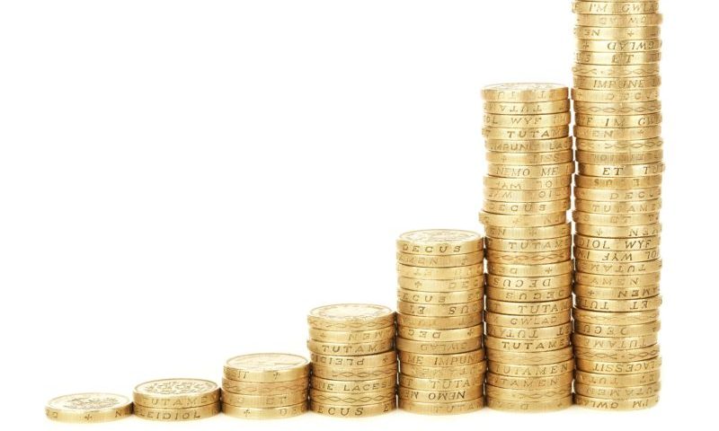 Pet food manufacturer sees growth despite £2.4m loss