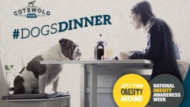 Pet food company pushes for Obesity Awareness Week to include dogs
