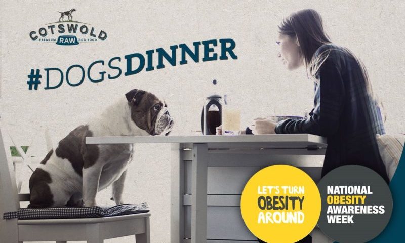 Pet food company pushes for Obesity Awareness Week to include dogs