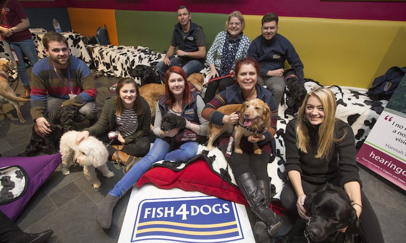 Doggy creche takes centre stage