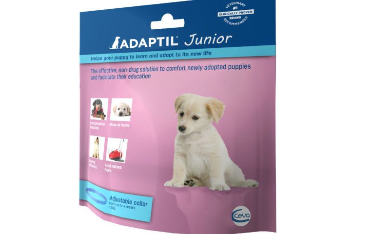 Ceva launches ADAPTIL Junior for puppies