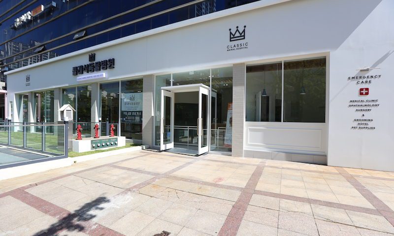 International Cat Care reaches 1000 Cat Friendly Clinics