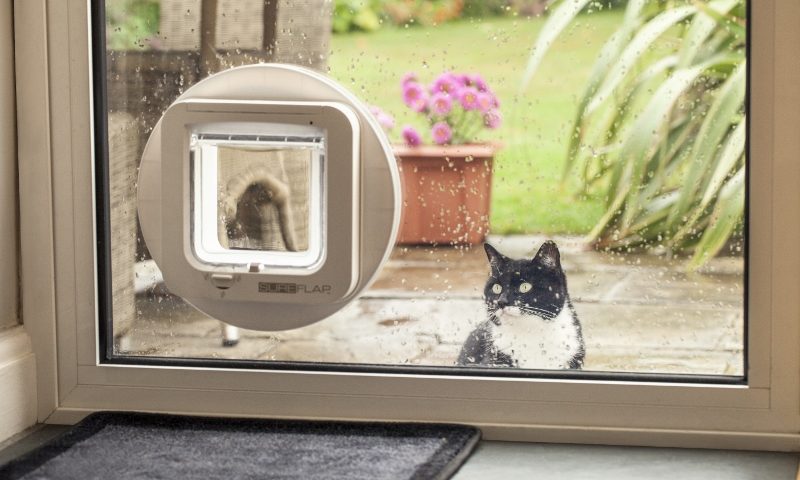 Company Profile: Sure Petcare