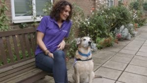 Support Pets: TheraPaws