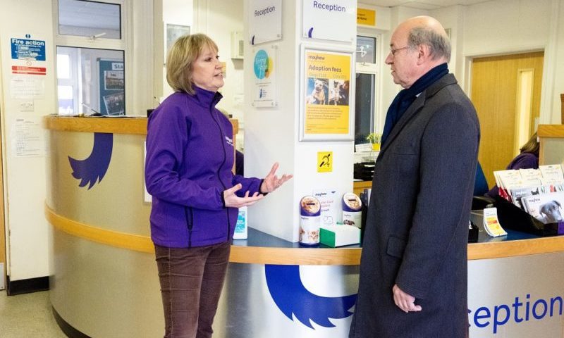 Government announces new legislation for pet sales