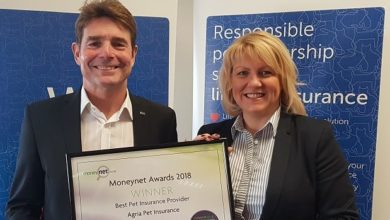 Best pet insurance provider announced