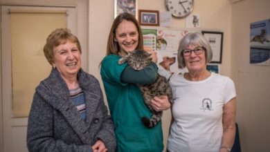 Vet charity receives cash boost for scheme helping diabetic cat