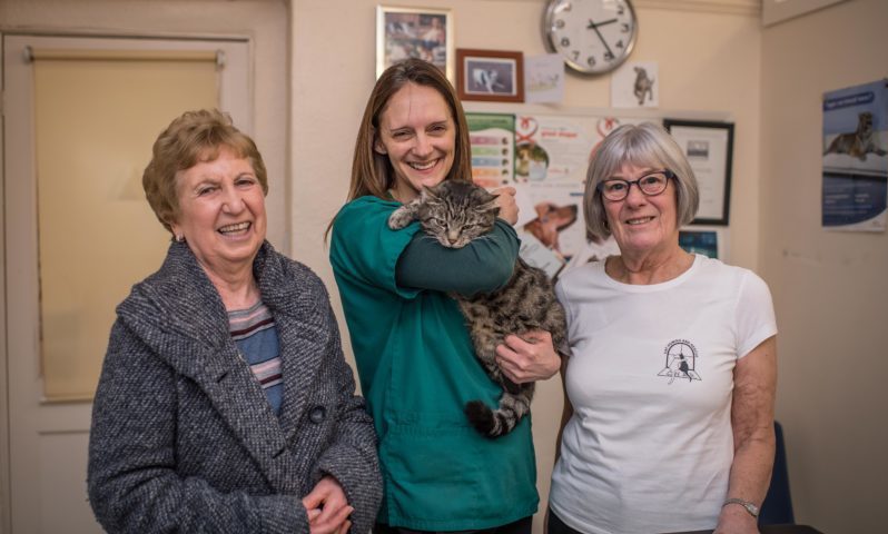 Vet charity receives cash boost for scheme helping diabetic cat