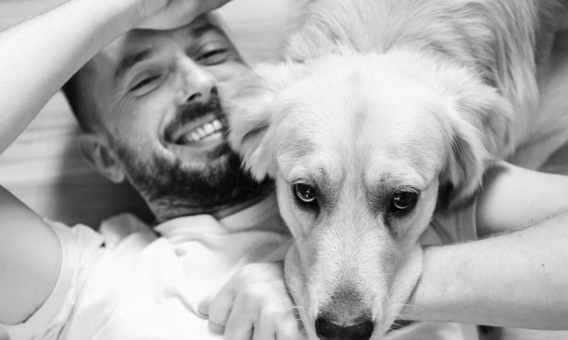 Pets in the North East and London fared best this Valentine’s Day