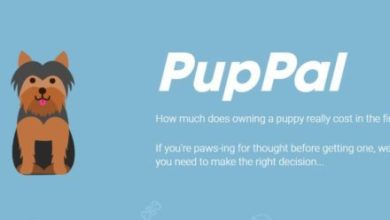 Pet food brand launches new puppy cost guide